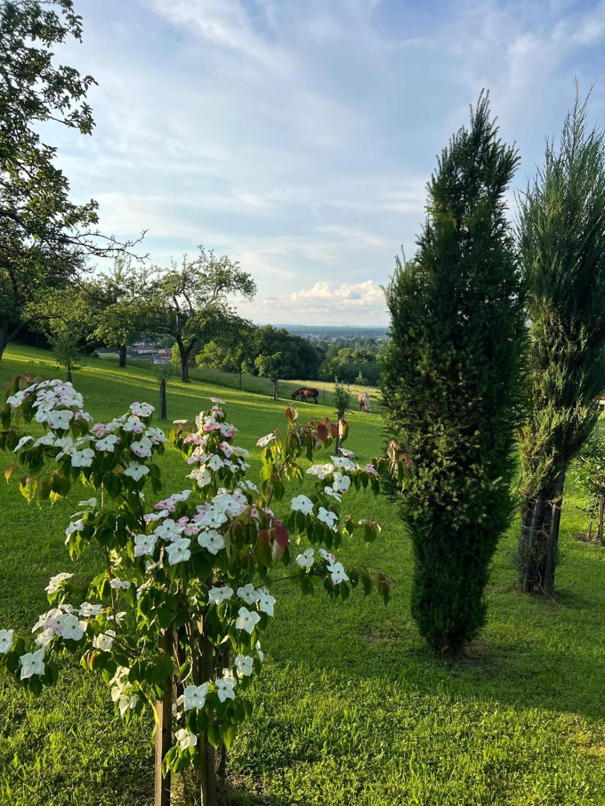 Ferienwohnung Dorner Spielfeld Esterno foto