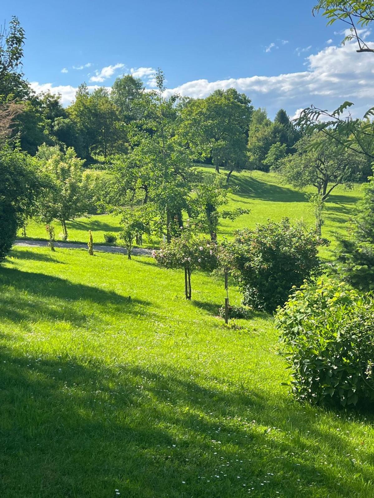 Ferienwohnung Dorner Spielfeld Esterno foto